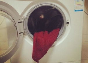毛衣能放洗衣机里面洗么 