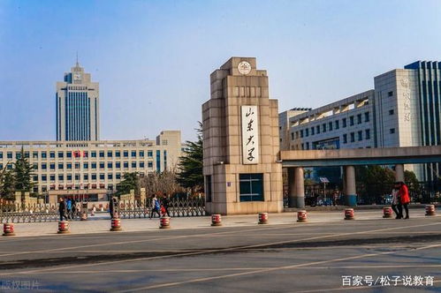 被称为高校 扫地僧 的山东大学,数学系毕业生的去向如何