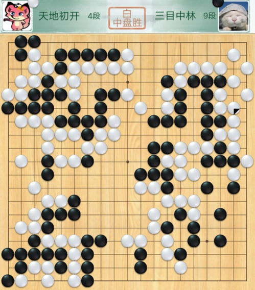 围棋世冠排名(围棋6界*)