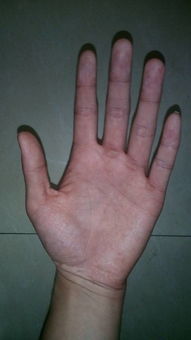 我的手掌很大但是手指很短,手指长适合弹琴什么的 那我适合做什么呢 