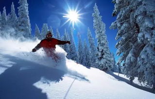 滑雪极限运动适合多大岁数(滑雪极限视频)