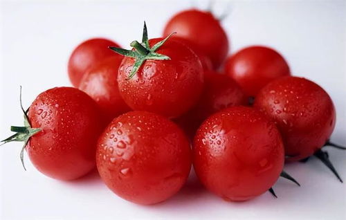 为什么西红柿越来越难吃 专家历时四年研究,原来是西红柿变了
