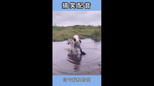 这水一点味道没有,加点作料味道太好了吧,我太机智了 