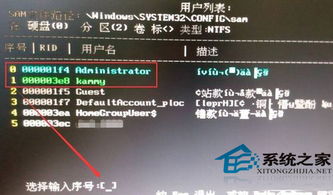 win10之家安装密码忘了怎么办啊