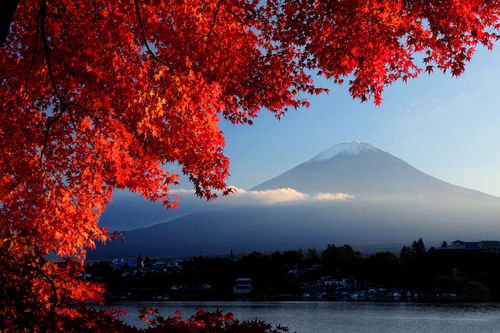 日本富士山与红叶 信息阅读欣赏 信息村 K0w0m Com