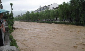 梦见山沟里流洪水(梦见山沟里流洪水什么预兆)