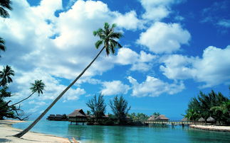 马尔代夫印度旅游攻略想请教一下巴厘岛马尔代夫迪拜这三个地方相距多远
