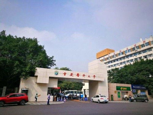 重庆西南政法大学