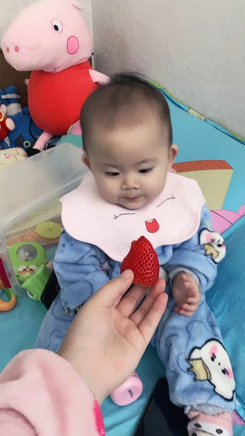 11个月的宝宝吃2颗草莓