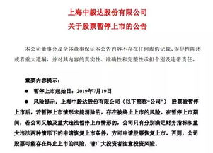 在大陆 如果欠债几百万有没得 宣布破产呢或者有没什么办法偿还，，能借得都借了，，