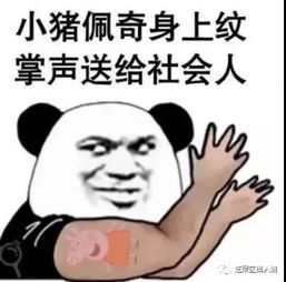 支吾的解释词语;特务兔和支吾猪什么意思？