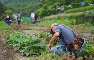 看完这个40岁女人的朋友圈,我酸酸酸了