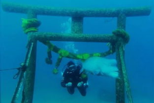 日本那些世界级的潜水圣地 有生之年一定要去潜一次