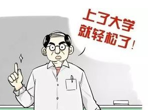 男生女生的大学整容院 真相究竟是怎样