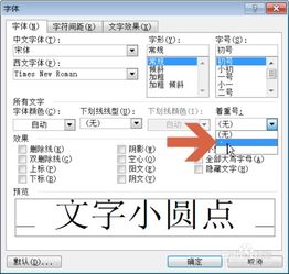 word2003怎么在文字下方添加小圆点