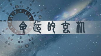 凌通先生言传身教带你学命理之5 地支藏干之十神与十二长生 