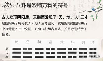 学易经,什么是本 唯象解易公益群微课实录