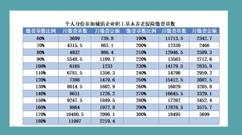 葫芦岛养老保险2022缴费标准表(葫芦岛今年养老保险费交多少)