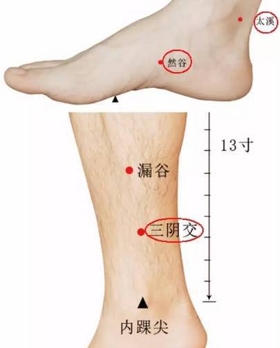 阴虚发热 阳虚怕冷 血虚发燥 气虚无力