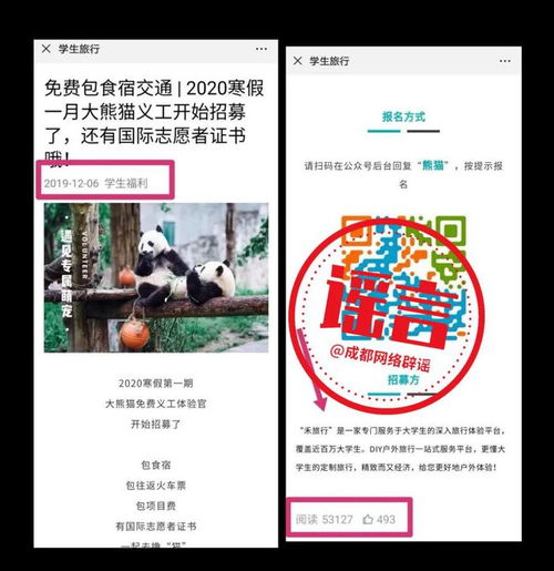 网传成都熊猫基地招募大熊猫义工和志愿者 官方紧急辟谣