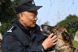 警犬老了怎么办 这位富阳人自掏腰包给警犬养老,还带着它们上了央视