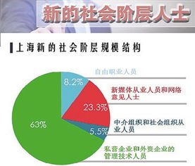 新社会阶层和中产阶层究竟有哪些区别 