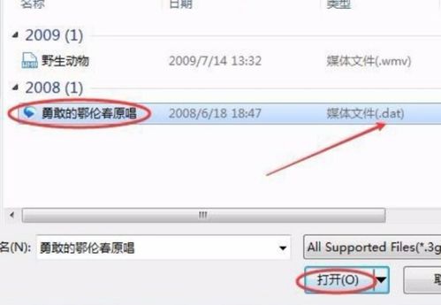 DAT文件怎么才能打开？需要什么软件才可以了？