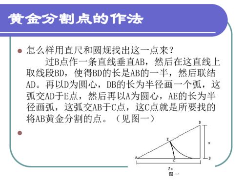 黄金分割讲解下载 