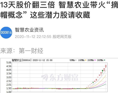 在哪里能找到ST股票的信息