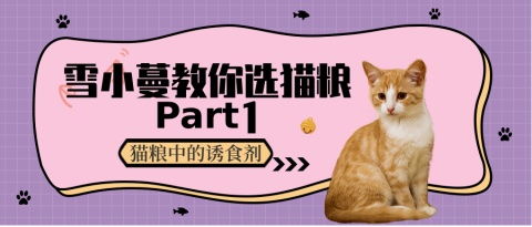 猫以食为天 ,小蔓教你挑选猫粮Part1 如何分辨猫粮中是否添加诱食剂
