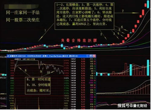 查300开头7结尾的所有股票