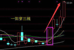 请高手编个选股 一阳上穿3线（5日，10日，20日均线）的指标，