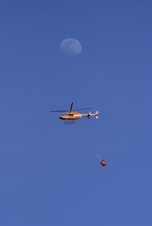 陕西神木 消防直升机投入山林灭火 
