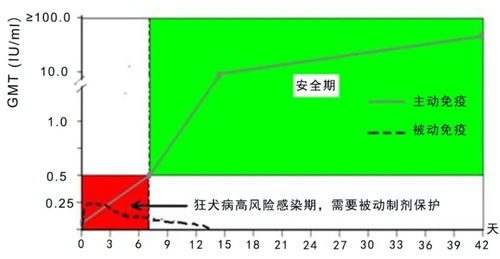 被狗狗咬伤,除了疫苗为什么还要打免疫球蛋白