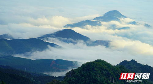 湖南邵阳云山国家森林公园