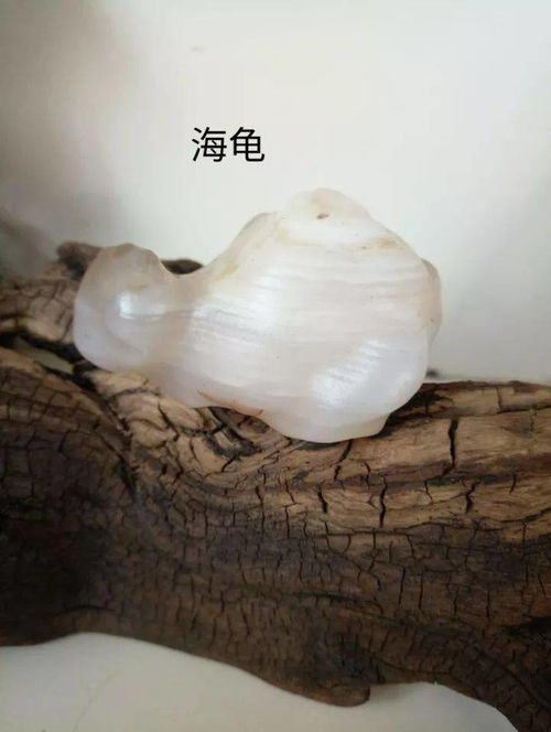 石来运转,是真的吗