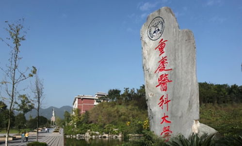 重庆的公办大学有哪些