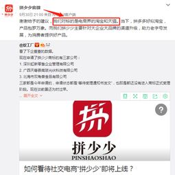 突然出现的拼少少声势不小,喊话对标淘宝和天猫,背后高层也叫张勇