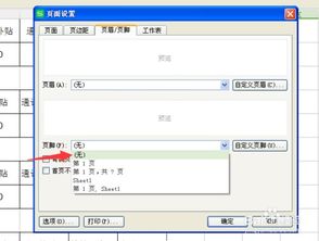 wps 表格怎么加页码？wps表格怎么加页码数在下面