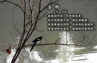 那些让人惊艳的中国诗词