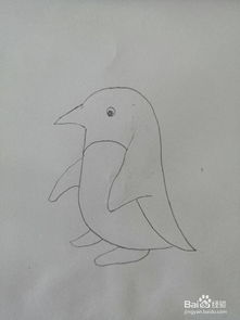 简笔画 如何画一只可爱的小企鹅 