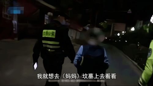 我就想去妈妈坟墓上看看