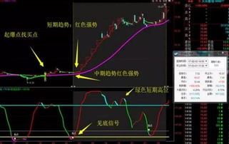 假若你有炒股年赚100%，即一年翻一番的绝招，你必须在以下选一做法，你会选哪种，请说明原因。