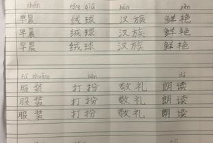 二年级小学生写字作业,字好看成绩拔尖,老师 写好字很重要