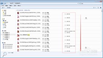 怎么文件中的图片按大小排序