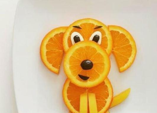 狗狗能不能吃橘子,狗狗能不能吃橘子类的水果