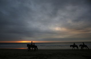 感受拉美别样风情 夕阳西下 骑马漫步海滩 图