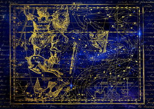 星座,十二生肖,天空,繁星点点的天空,亚历山大 贾米森,生日,贺卡,星图集,占星学,黄道带,新时代,古董,发明,地球,星系,年份,半球,背景,历史,猎户座,野兔,鸽子 