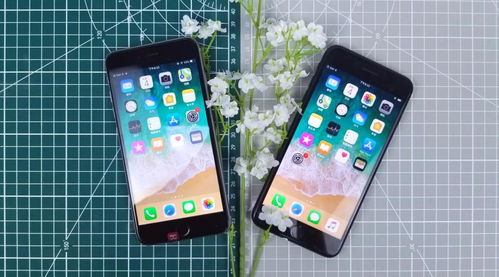 iPhone 6sP竟然比7P还要强悍 看完我才恍然大悟 