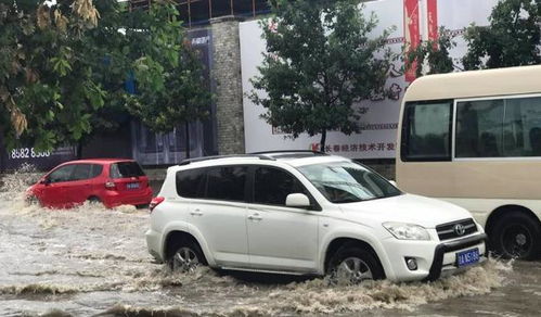 为什么遇到暴雨天气时,车子都被水淹了,车主也不把车开走